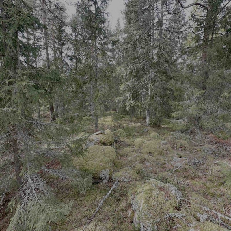 Norrtälje 5
