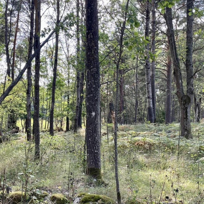 Väsby 3