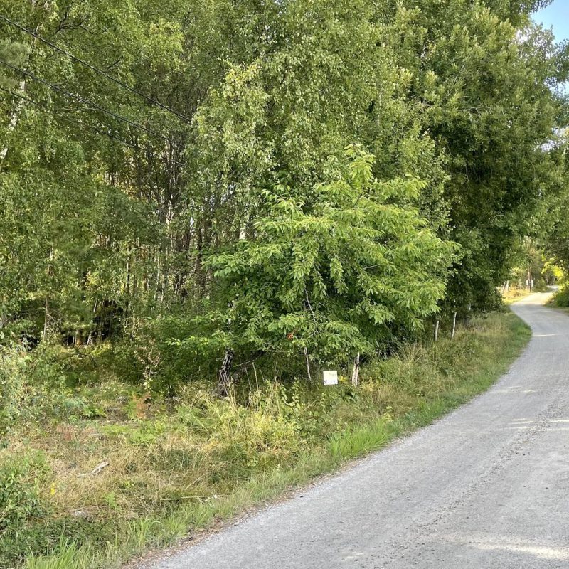 Väsby 4