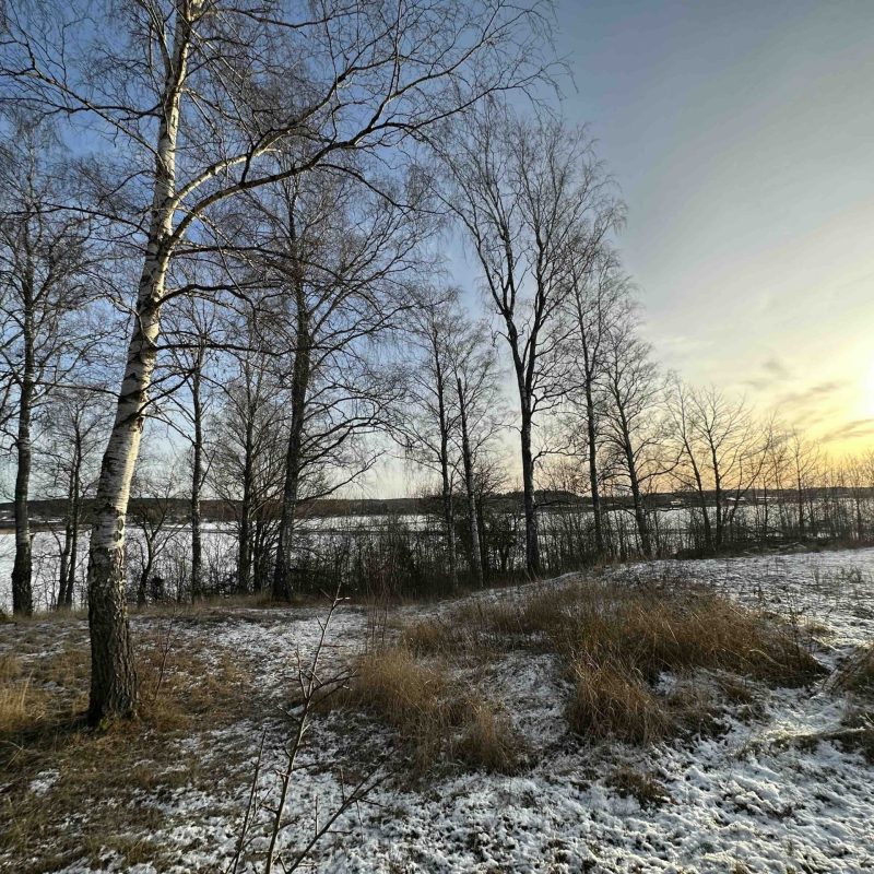 håbo bild 2